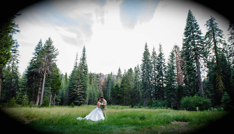 wedding couple in meadow