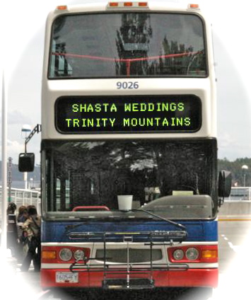 destination wedding bus